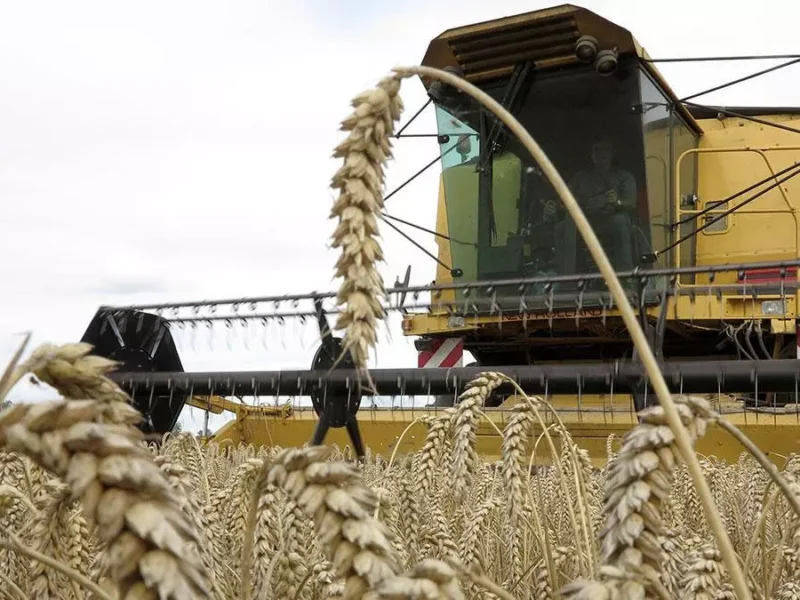 French Farmers