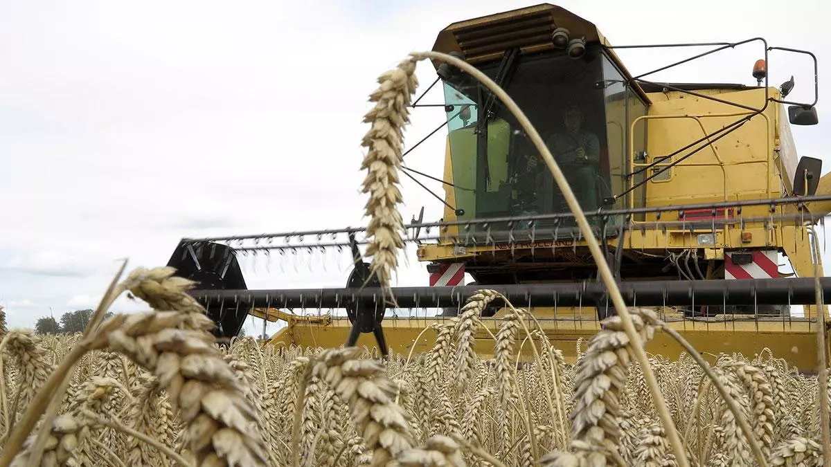 French Farmers