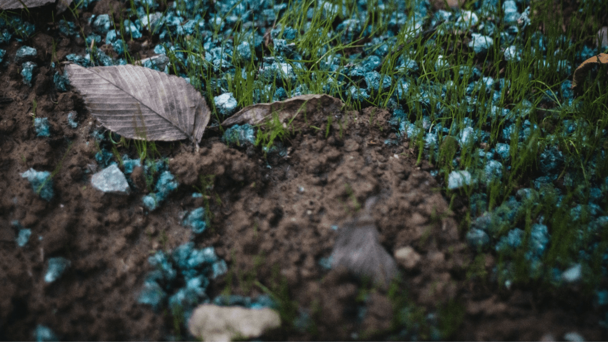 Blue fertilizer granules on soil