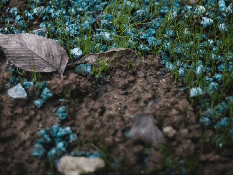Blue fertilizer granules on soil